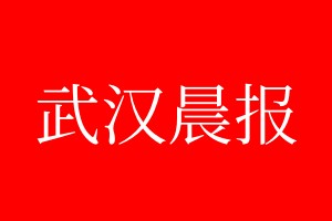 武漢晨報登報電話_武漢晨報登報電話多少