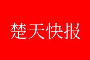 楚天快報登報電話_楚天快報登報電話多少