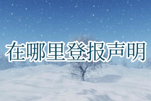 在哪里登報(bào)聲明