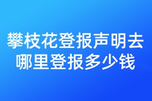 攀枝花登報聲明去哪里登報多少錢